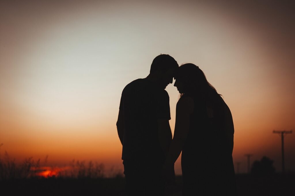 pregnant, portait, sunset, silhouette, love, nature, freedom, happy, person, romance, sun, romantic, brown nature, brown love