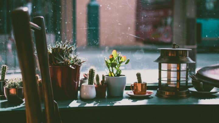 Basingstoke Rainy-Day Dating Ideas: Cozy Spots and Indoor Escapes