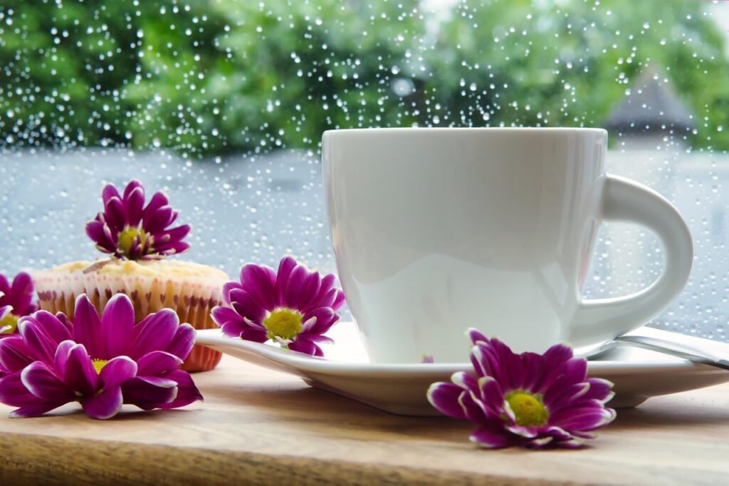 rain, coffee, muffin, coffee time, rainy day, coffee cup, nature, cup, beautiful flowers, cup of coffee, blossoms, flower, ra