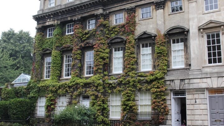 How to Make Better Choices About Escorts in Bath: A Practical Guide to Clear Decisions