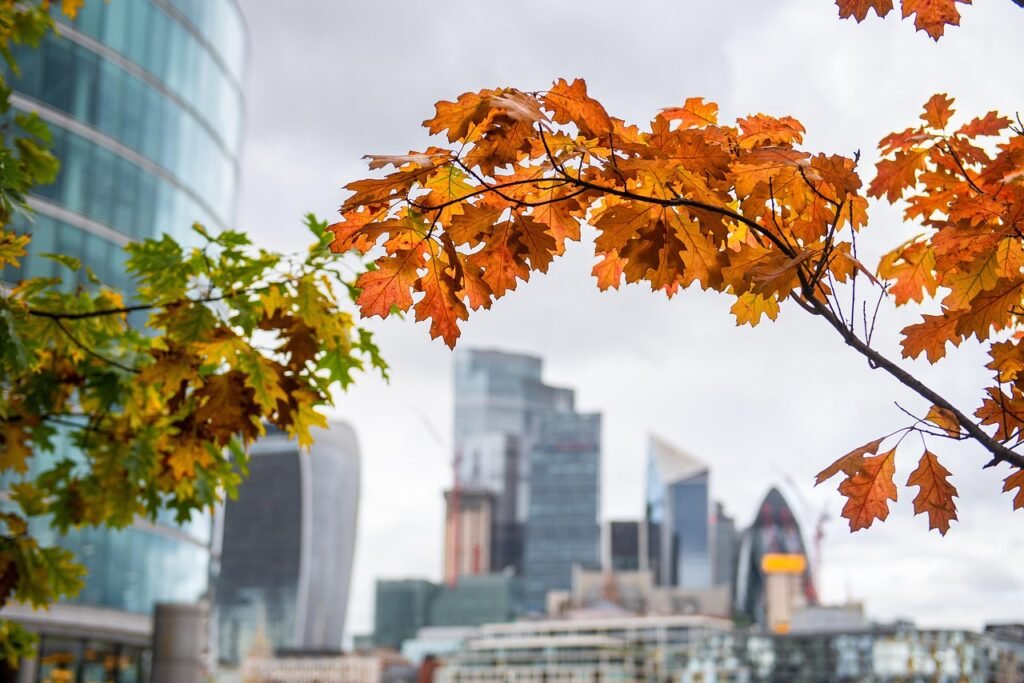 autumn, city, london, england, architecture, fall, foliage, london, london, london, london, london