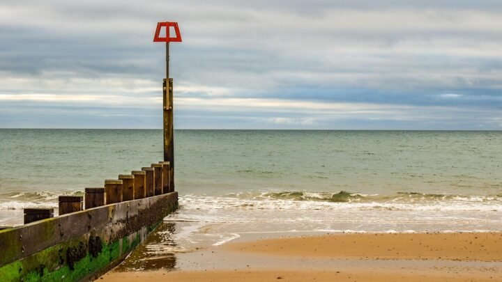 Navigating Escort Services in Bournemouth: Common Questions Answered Clearly