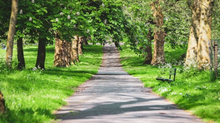 Smart Romance on a Shoe-String: Thoughtful, Budget-Friendly Dating Ideas in Milton Keynes and Beyond