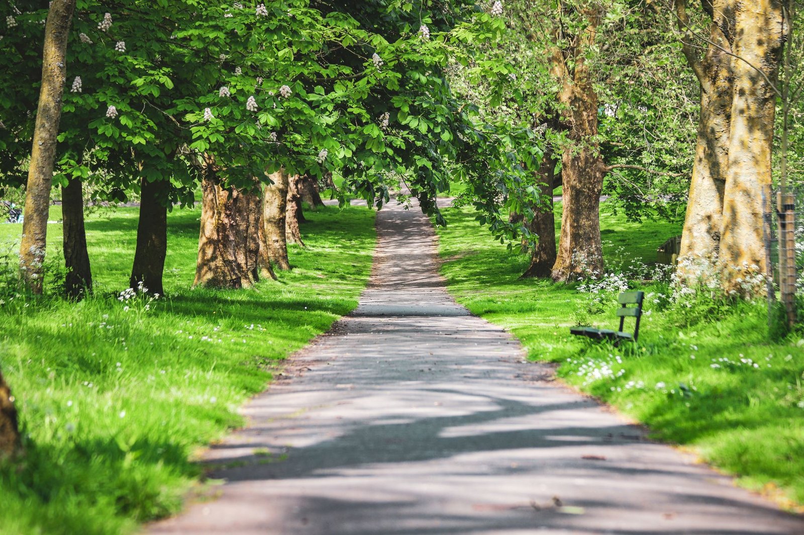 A peaceful park path in Bristol, England, surrounded by lush greenery and trees.