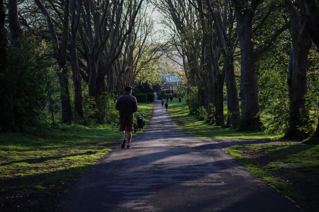 A peaceful walk down a shaded park path surrounded by tall trees.