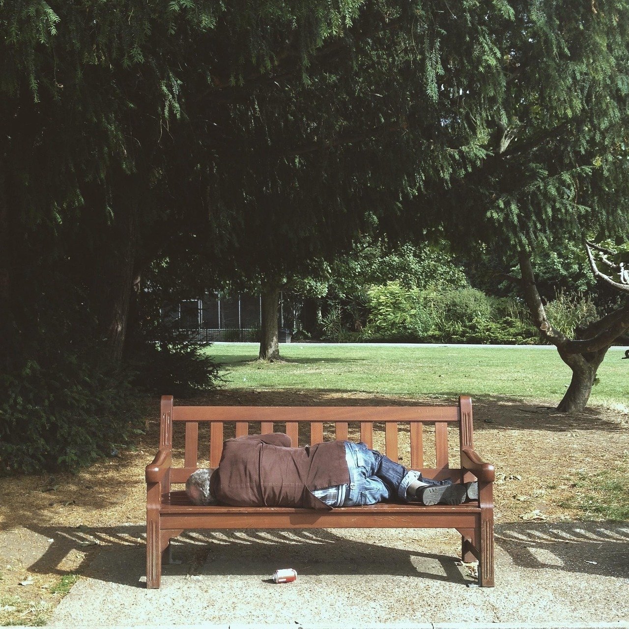 down-and-out, bommer, hobo, park, bench, stranger, tramp, man, male, tree, outdoor, nature, autumn, lifestyle, sleeping, poor