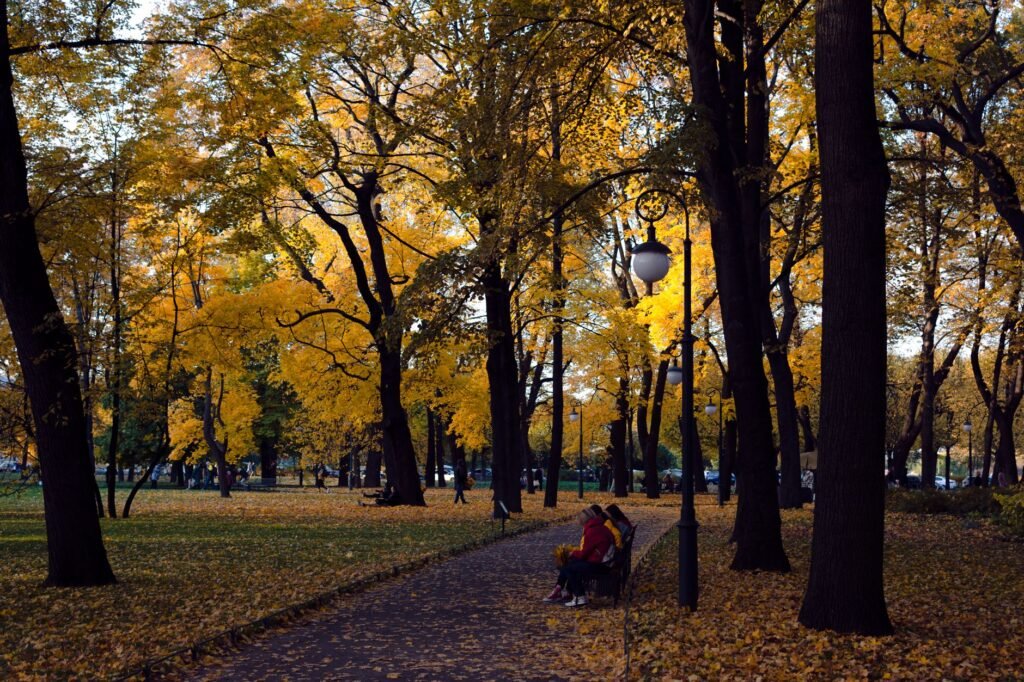 Peaceful autumn scene with yellow leaves and couple sitting on a bench in city park.