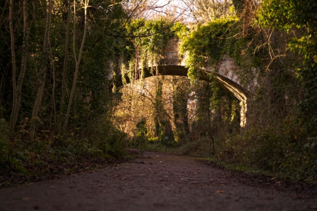 A scenic arched bridge covered with climbing plants over a lush path in Dalmeny, Scotland.