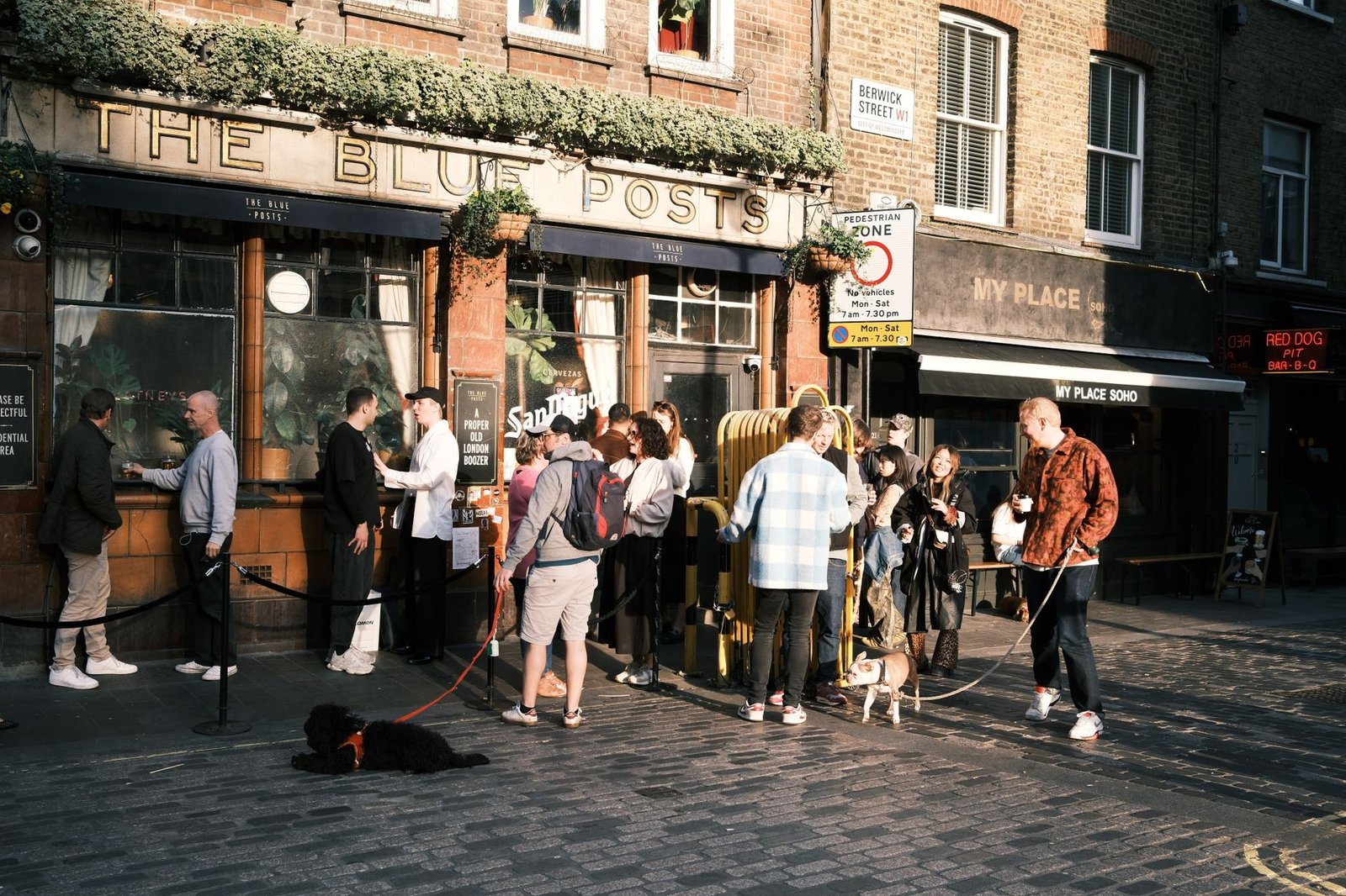 People and pets gather outside The Blue Posts pub in London on a sunny day.