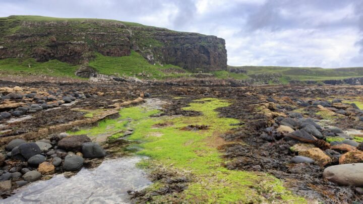 Dating in Ayr: A Calm Look at the Options for Modern Romance