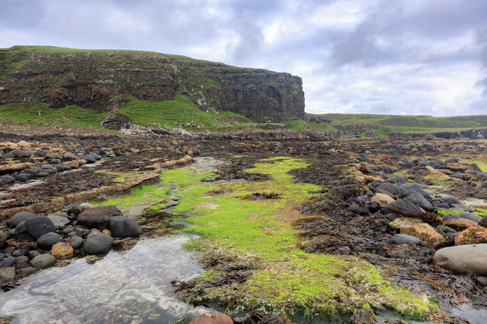 Explore the rugged coastal landscape of the Isle of Muck with its lush greenery and rocky shores.