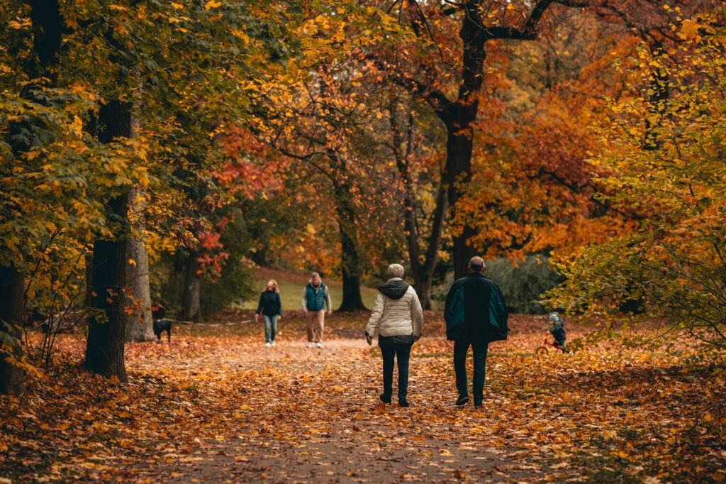 People walking among vibrant autumn leaves in a serene forest park setting.