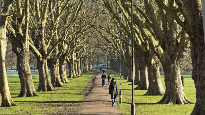 Dating in Cambridge: Myths, Facts, and Practical Advice