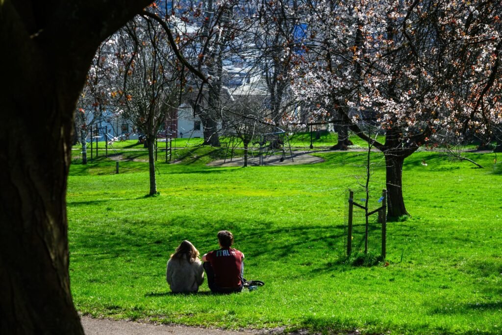 A serene moment in a park with blooming trees and two people enjoying the sunlight.
