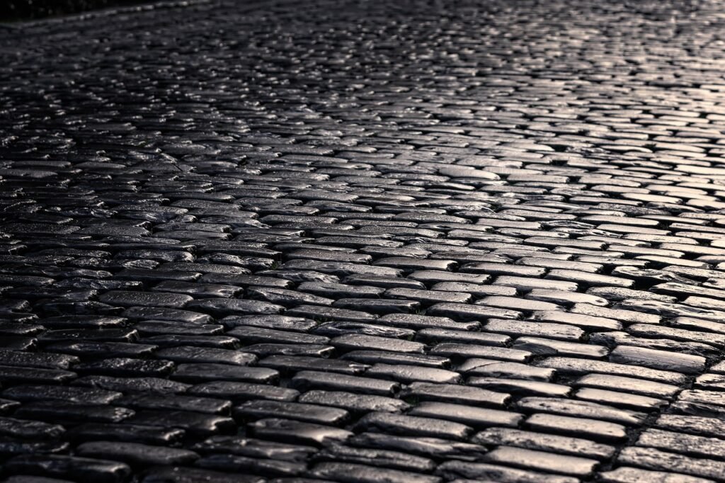 road, cobblestones, pavement, paved, stones, city, wet, nature, rain, street photography, street, black-and-white, historic c