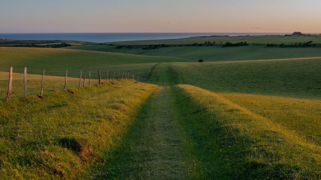 A tranquil scene of coastal rolling hills at sunset with a grassy path lined by a fence, overlooking the sea.