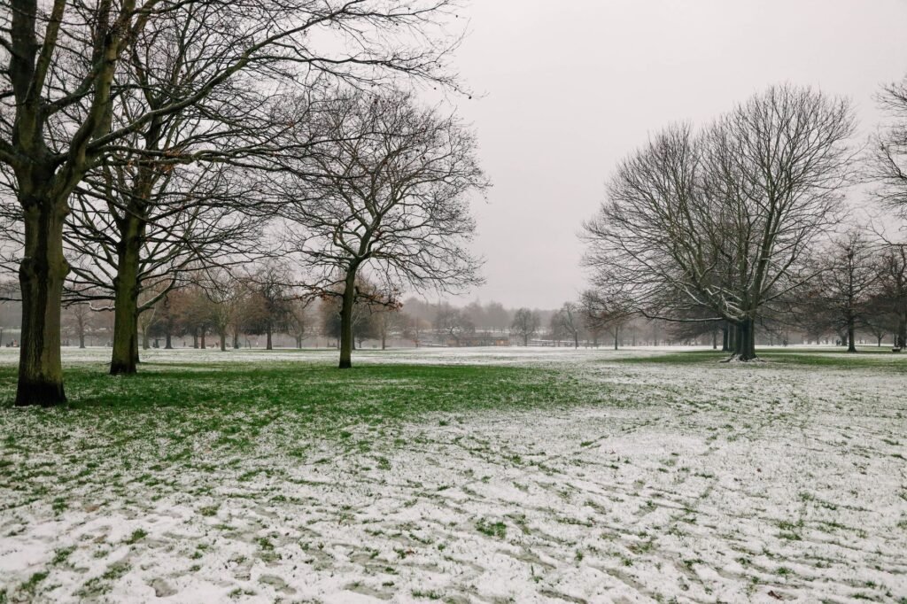 A serene winter landscape in Hyde Park, London, with snow-dusted grass and bare trees.