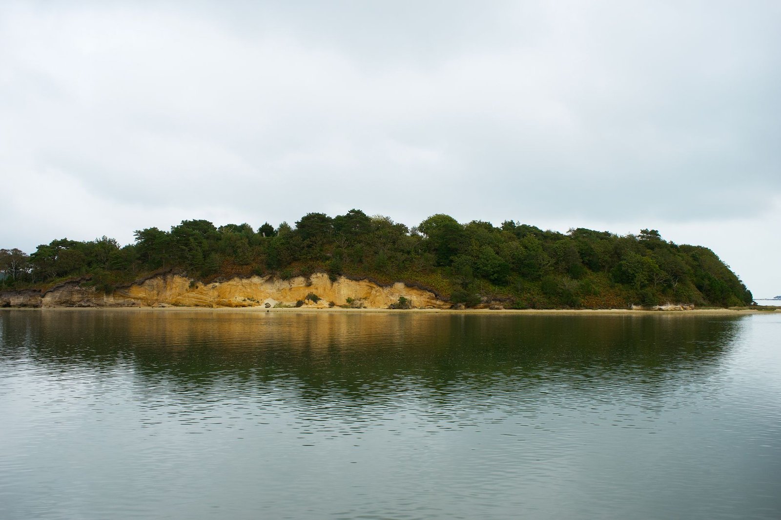 Serene island landscape reflection in calm waters near Poole, UK