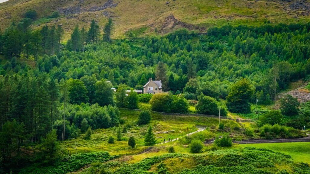 Scenic view of a cozy house nestled in a green valley surrounded by lush forests.