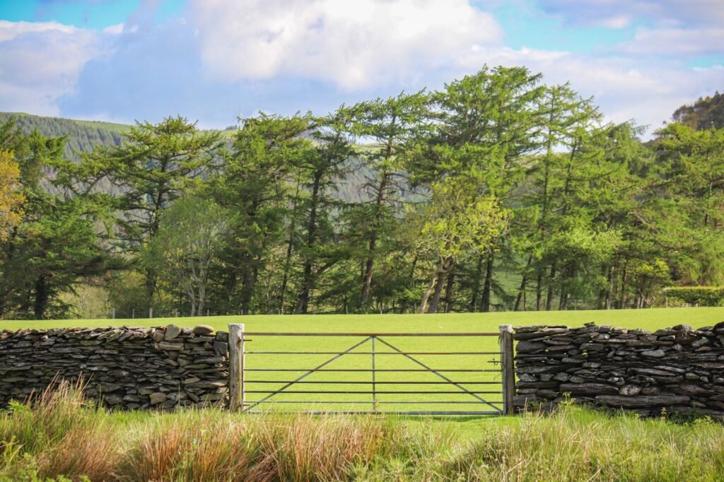 A serene view of a Welsh countryside field with a stone fence and gate, lush greenery, and distant hills.