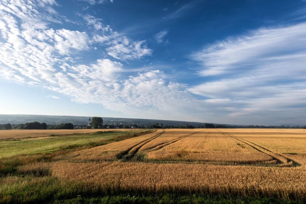 Golden fields stretch under a vibrant sky in Höxter, Germany, showcasing rural beauty.