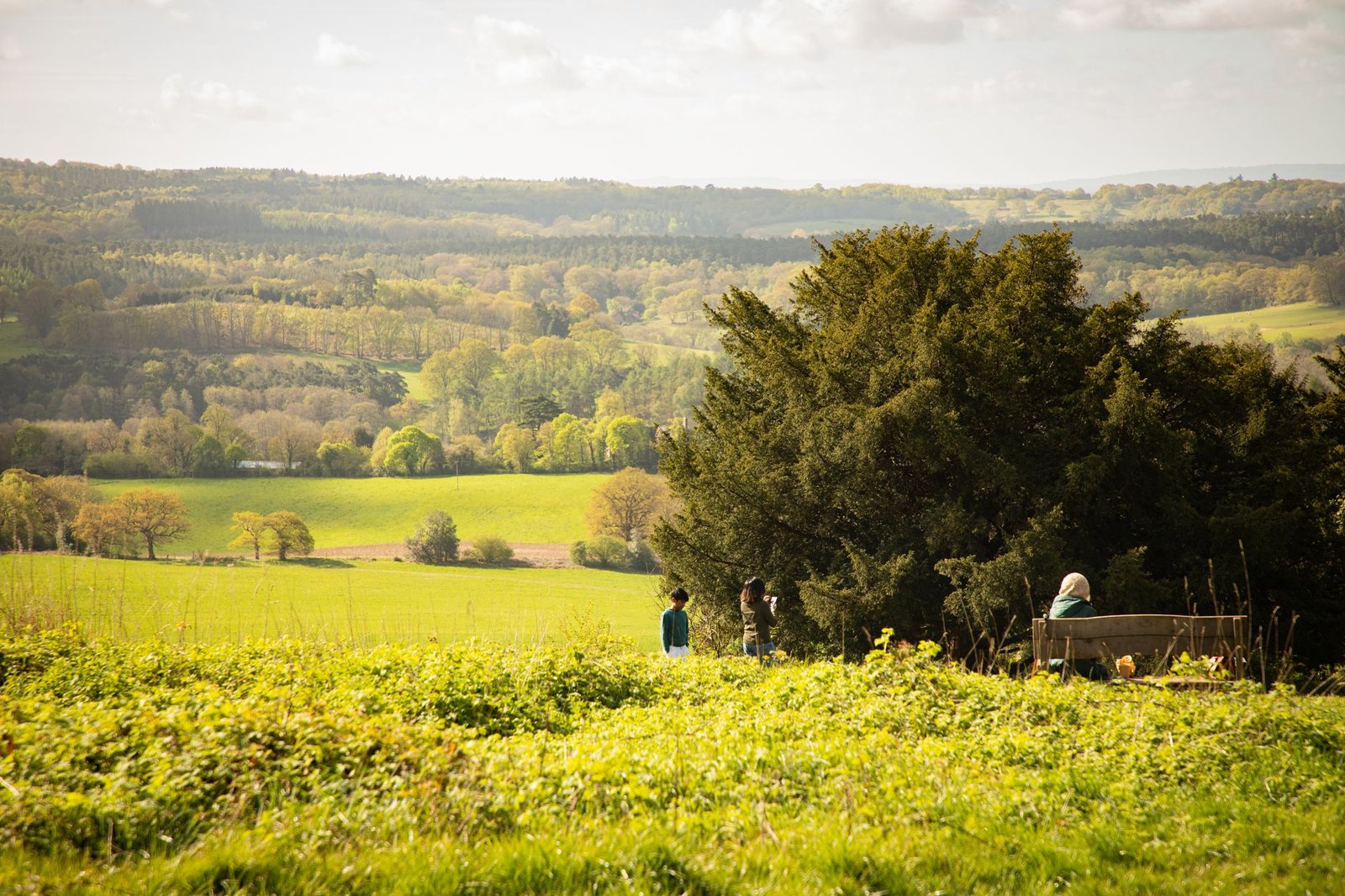 A serene landscape photo of a lush countryside with people enjoying nature in the warm daylight.
