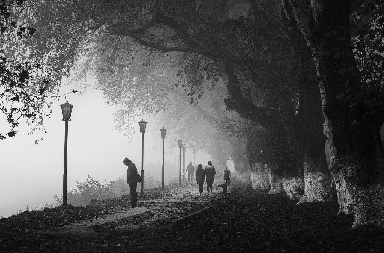 sad, man, person, atmosphere, nature, mood, park, trees, fog, walking