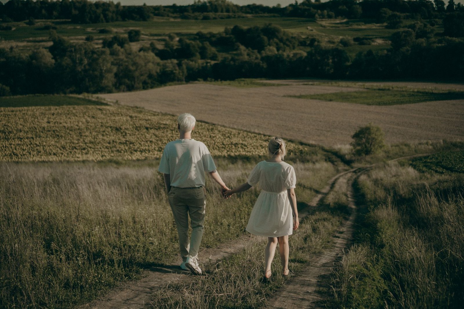 An elderly couple enjoys a peaceful walk through lush countryside fields, holding hands under the warm summer sun.