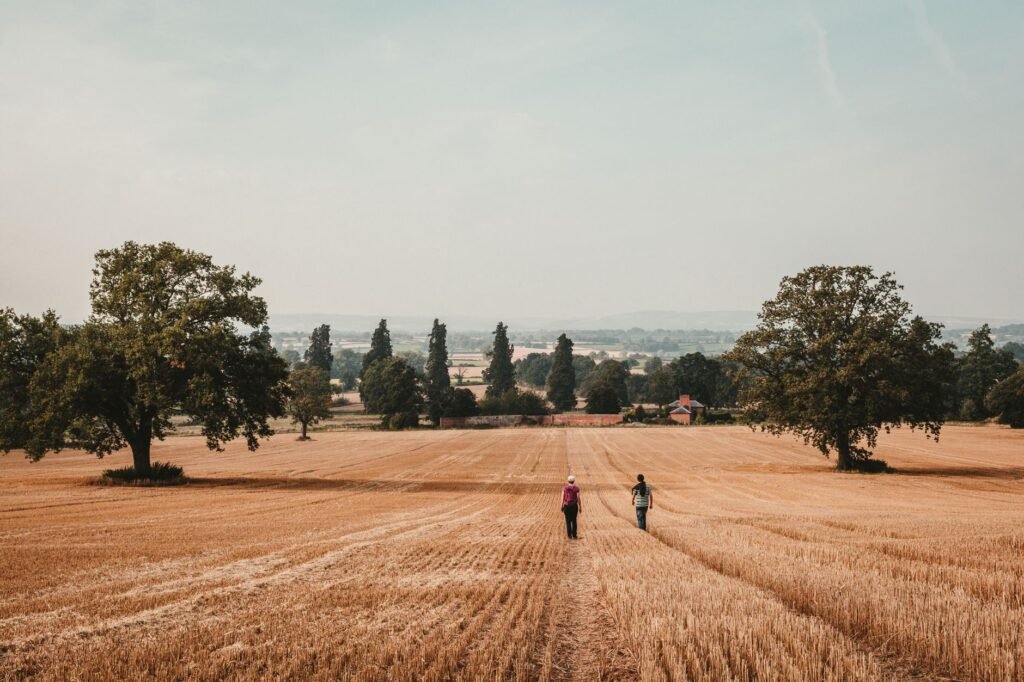 Two people walking in a rural field landscape in Weobley, England on a sunny day.