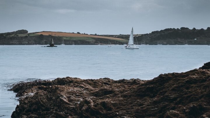 A Local Reader’s Guide to Dating in Torquay: Navigating Romance Along the English Riviera