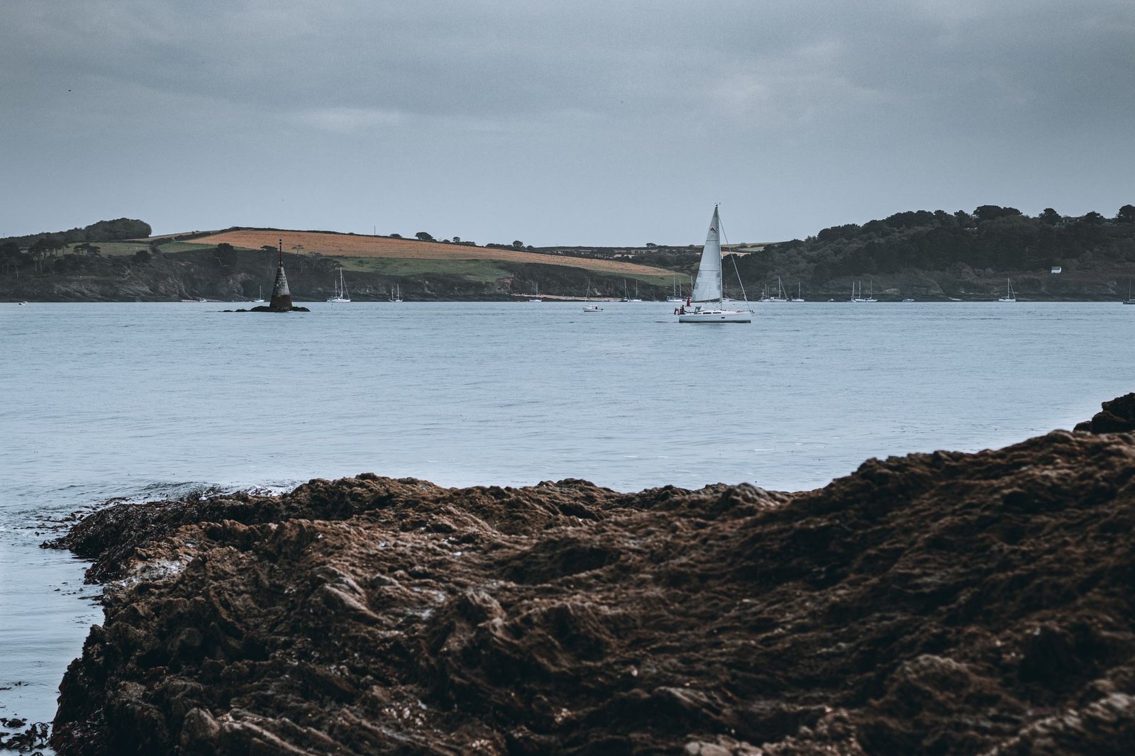 Sailboats gliding on a tranquil sea against a scenic English coastline.