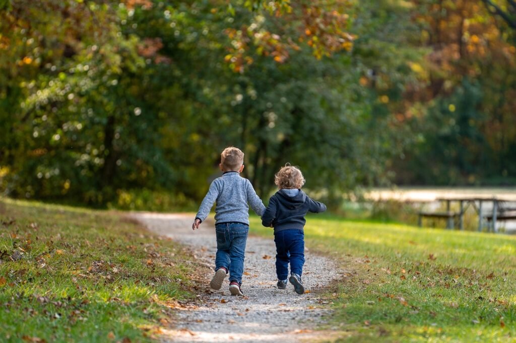 boys, children, path, trail, park, brothers, trees, leaves, autumn, fall, kids, nature, fun, childhood, friends, grass, playi