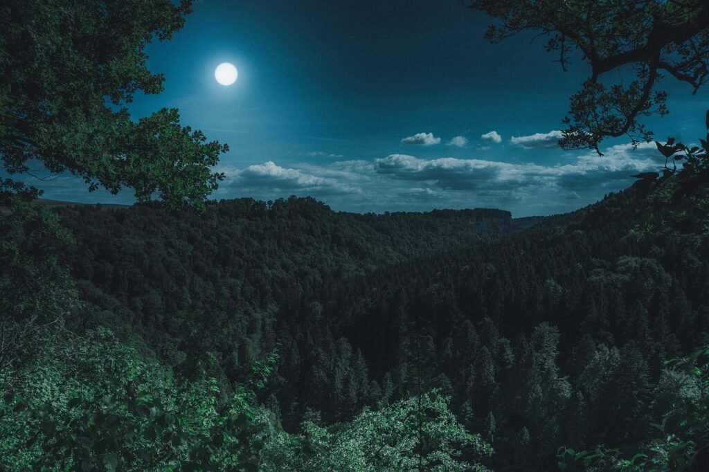 nature, forest, landscape, at night, black forest, dark, mystical, full moon, moon, forest, forest, dark, moon, moon, moon, m