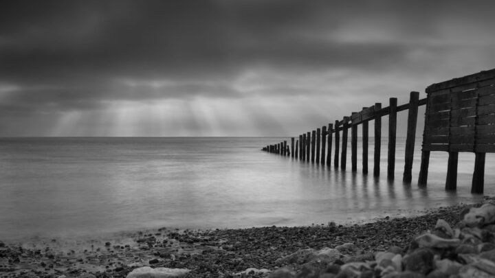 A Relaxed Local Look at Entertainment in Worthing and Beyond