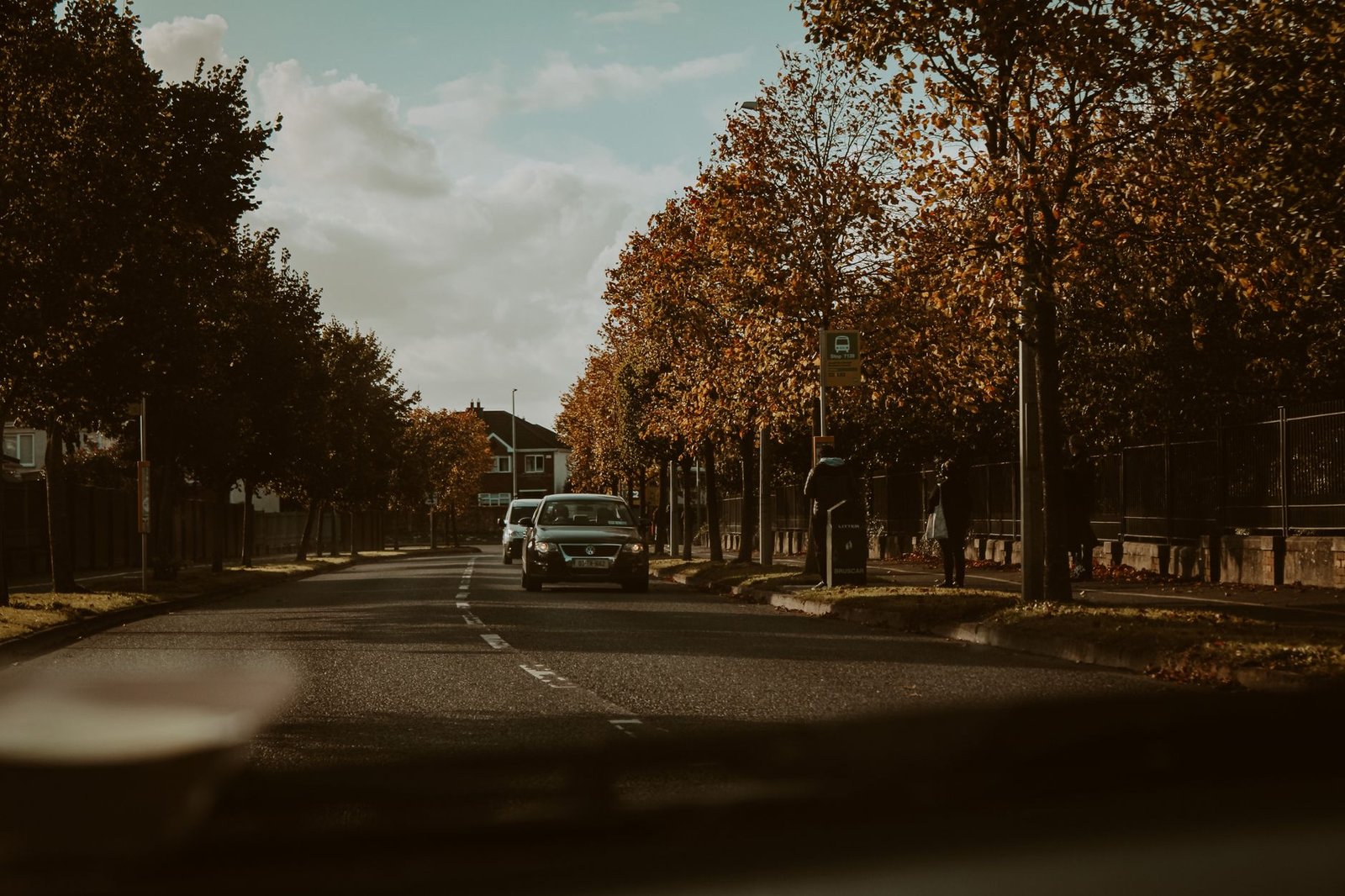 A serene autumn street in Ireland featuring cars and tree-lined sidewalks.