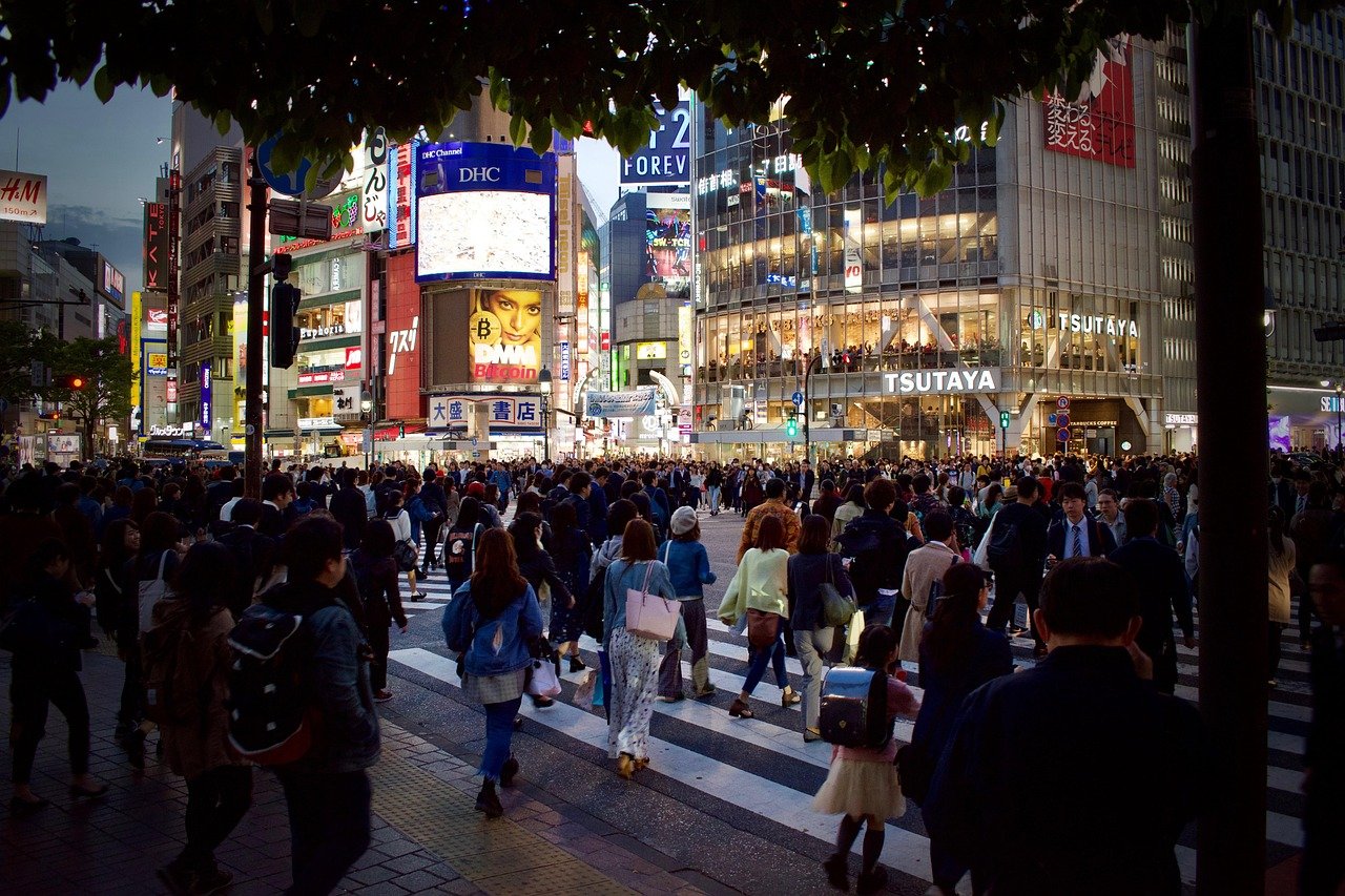 people, crowd, street, crossing, japan, tokyo, night, lights, crowd, crowd, crowd, japan, japan, tokyo, tokyo, tokyo, tokyo,