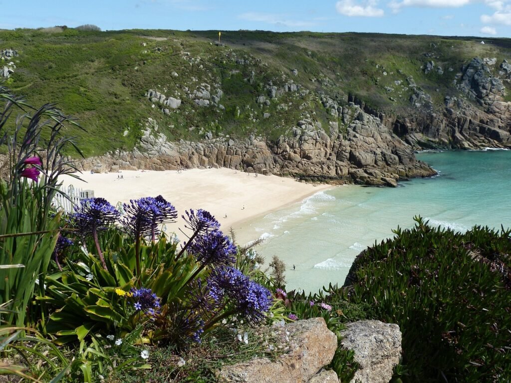 bay, cornwall, england, sea, flower background, flower wallpaper, coast, beach, united kingdom, rock, landscape, outlook, vac