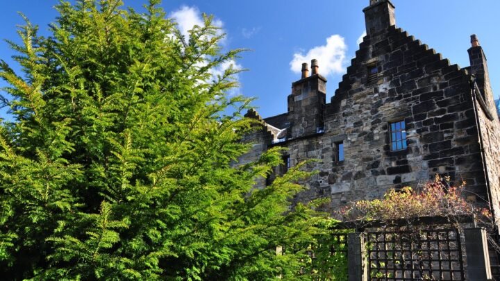 Navigating Escorts Around Glasgow: Where to Start Your Search