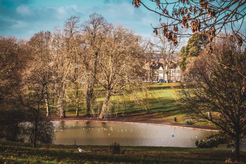 Beautiful autumn scenery at Victoria Park in Bristol, capturing leafless trees, a pond, and historic buildings.