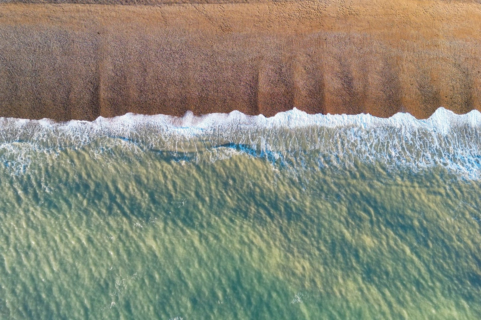 A stunning aerial view of Eastbourne seashore with waves lapping a golden sandy beach under clear skies.