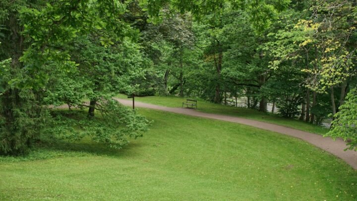 The Everyday Side of Romantic in Hamilton and Beyond