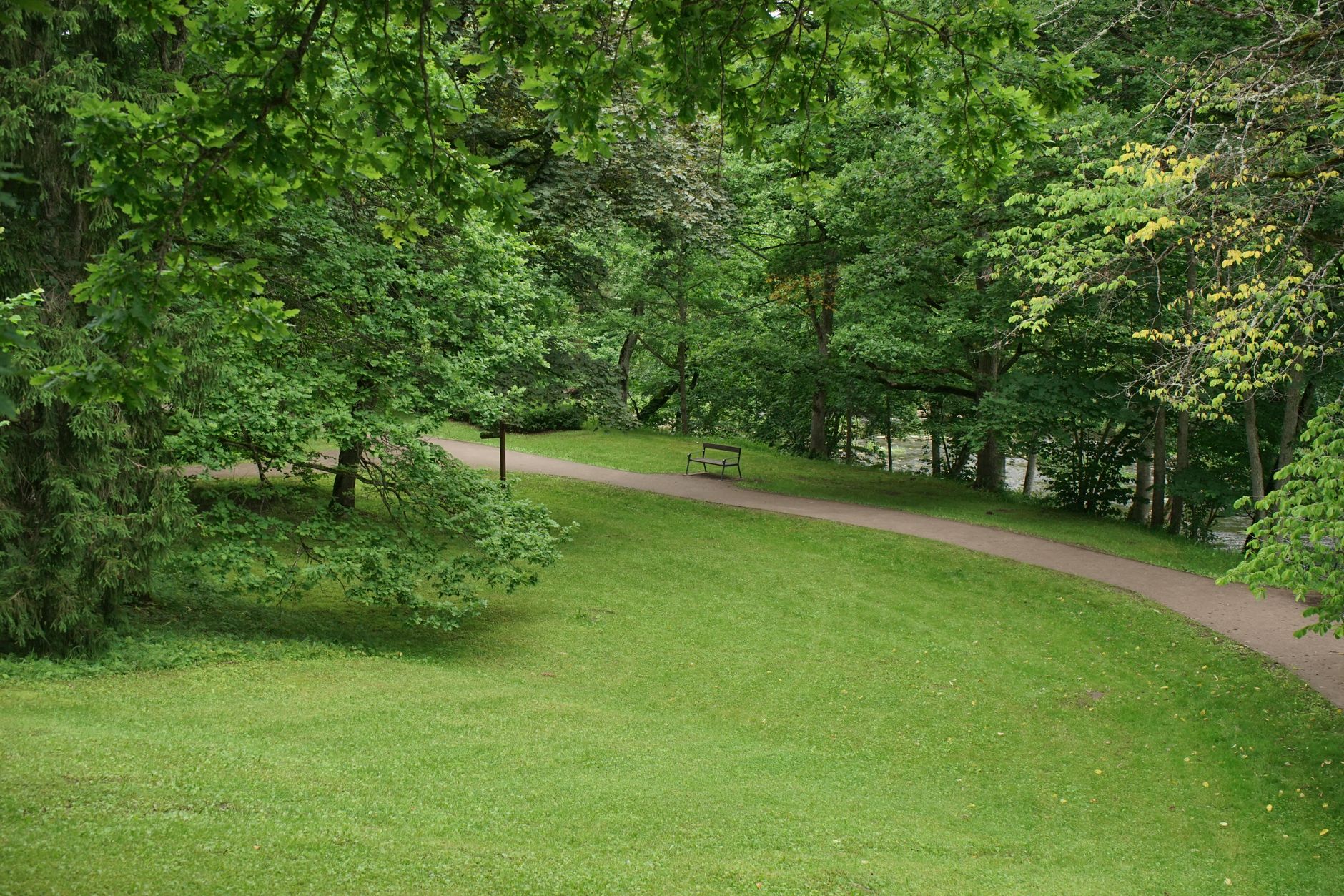 A serene park pathway surrounded by vibrant green trees and grass, offering a tranquil outdoor environment.