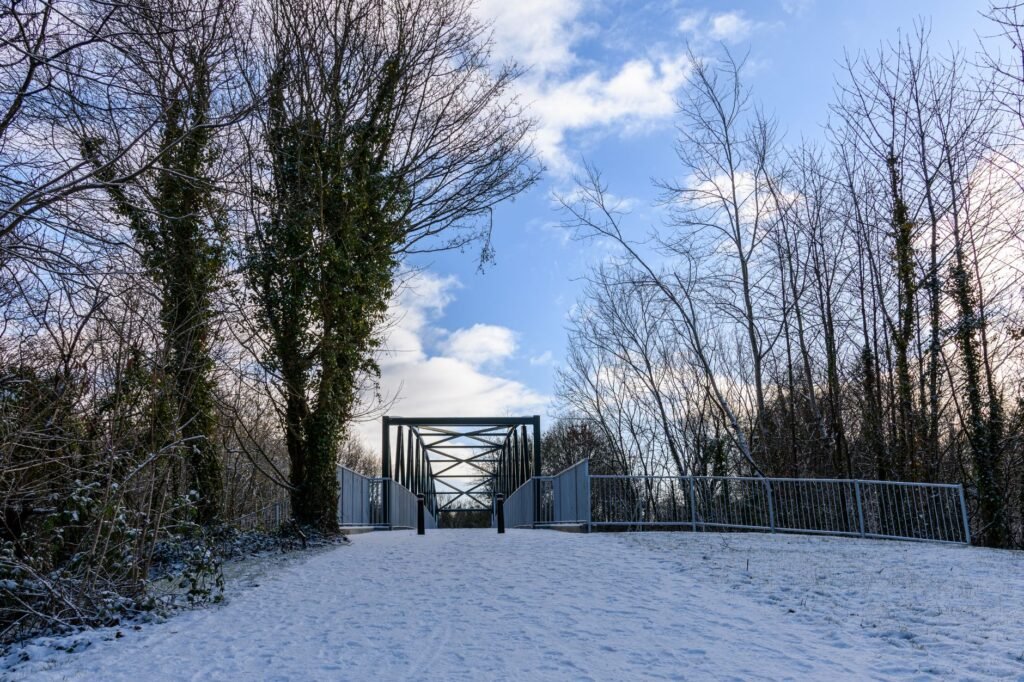 A tranquil snowy pathway through a winter park in Tullygally, Northern Ireland, amidst bare trees and a blue sky.