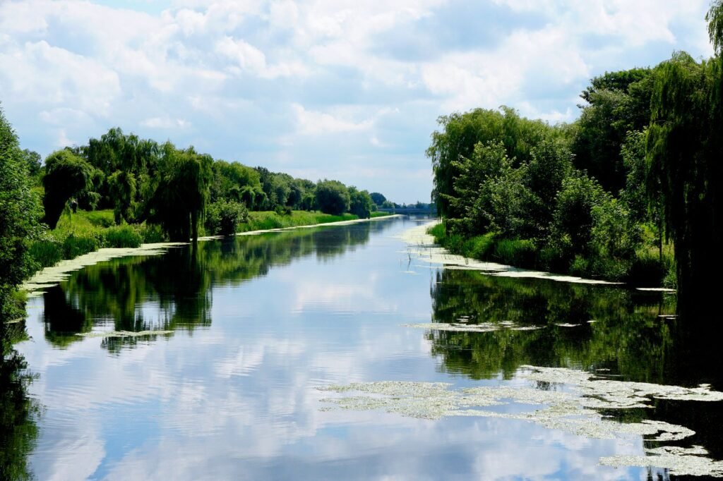 Serene river view with lush greenery reflecting in the water under a blue sky in Boston, England.