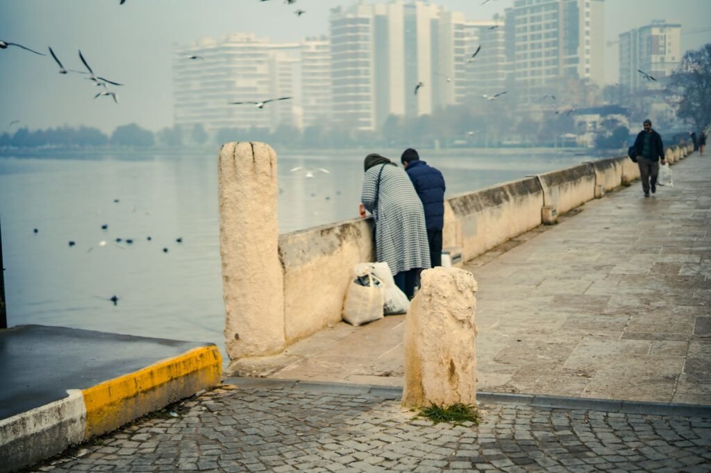 A tranquil lakeside scene with people walking and feeding birds near city buildings.