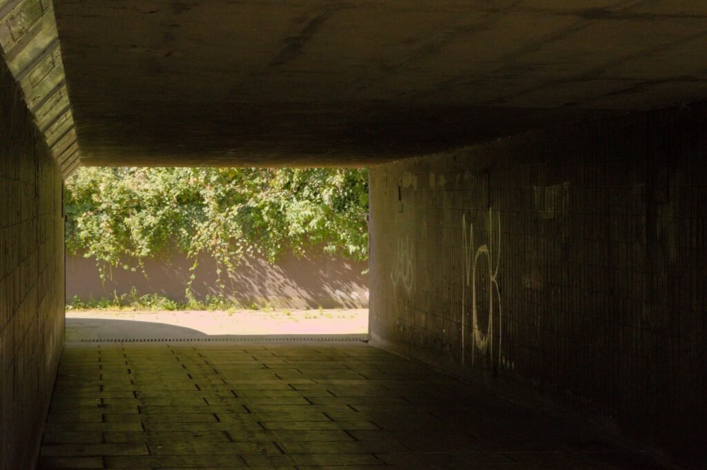 Moody view of a graffiti-lined urban tunnel opening to greenery.