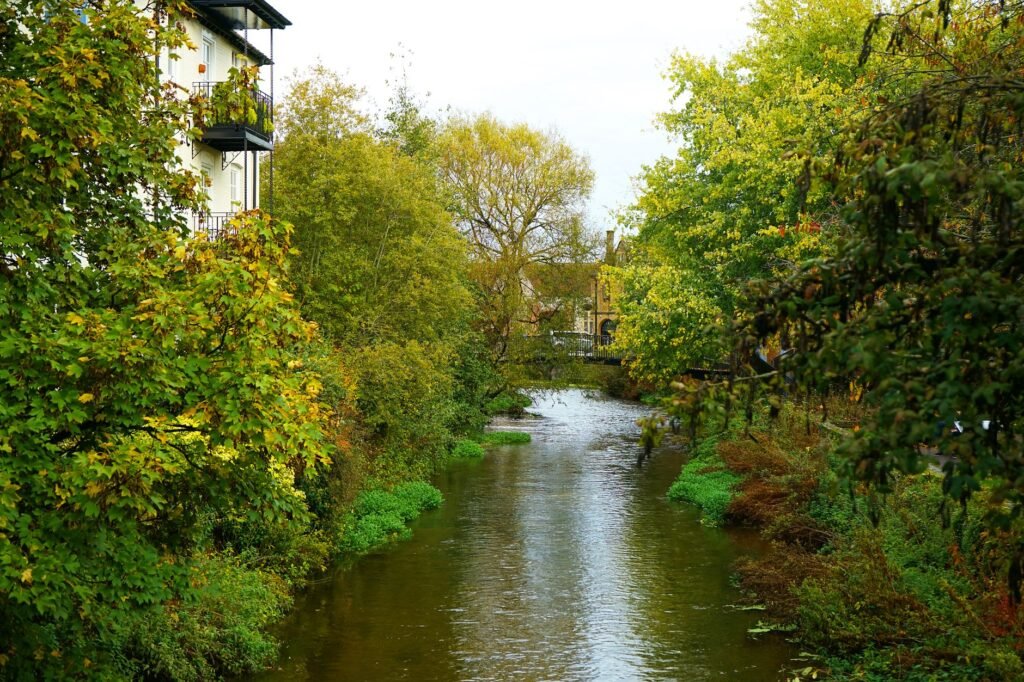 Picturesque view of River Avon in Salisbury with autumn foliage and riverside architecture.