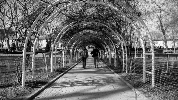 How to Research and Build a Meaningful Romantic Connection in Colchester
