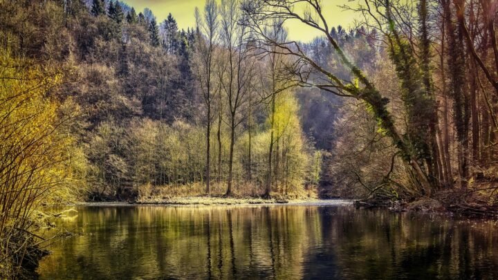 Keeping Trust and Privacy Strong in Romantic Connections in Watford