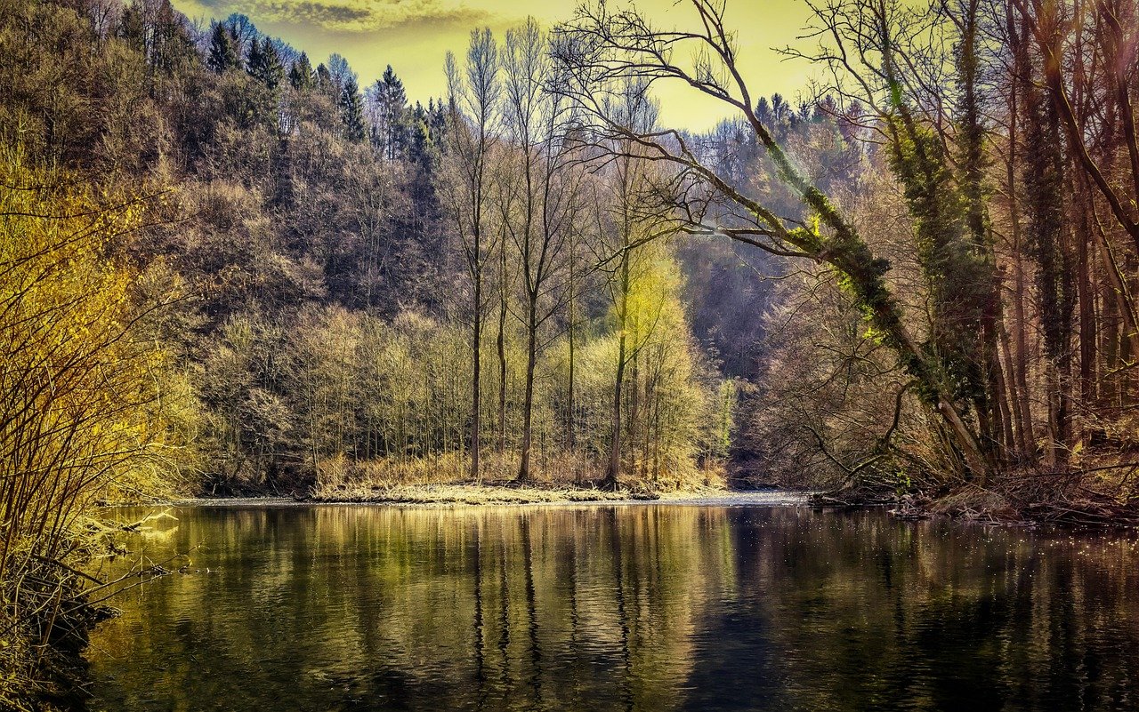 forest, lake, nature, trees, water, pond, river landscape, reflection, flow, romantic, mood, quiet, relaxation, sunlight, wup